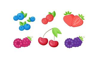 Isolated fresh berries with slices collection vector