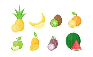 Set of isolated tropical fruits with slices vector