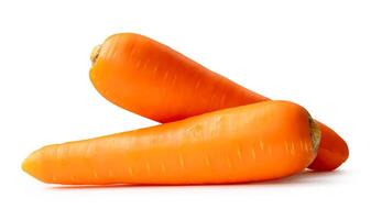 Side view of fresh orange carrot roots in stack isolated on white background with clipping path photo