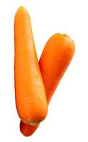 Top view of fresh orange carrot roots in stack isolated on white background with clipping path photo