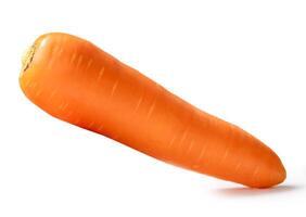 Side view of one fresh orange carrot isolated on white background with clipping path photo