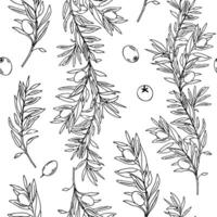 Graphic Seamless Pattern with Branches of Olives on a white background. Hand drawn Graphic Illustration. Line art. Can be used for textile, wallpaper prints and packaging. vector