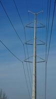 The electricity cable view with the blue sky as background photo