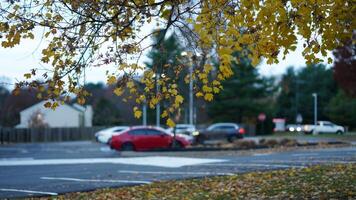 The beautiful Wshington DC city view in autumn photo