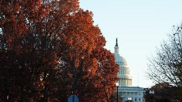 The Washington DC city view with the Capitol Hill building as background in autumn photo