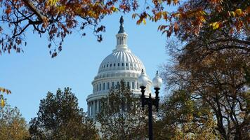 The Washington DC city view with the Capitol Hill building as background in autumn photo