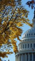 The Washington DC city view with the Capitol Hill building as background in autumn photo
