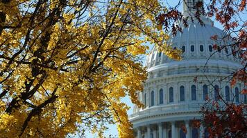 The Washington DC city view with the Capitol Hill building as background in autumn photo