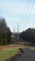 The forest view with a road cross them and several exercise people on the road photo