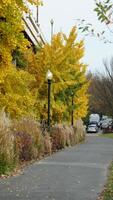 The beautiful Wshington DC city view in autumn photo