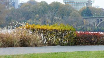 The beautiful Wshington DC city view in autumn photo