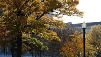 The beautiful Wshington DC city view in autumn photo