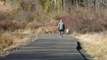 The forest view with a road cross them and several exercise people on the road photo