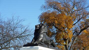 The beautiful Wshington DC city view in autumn photo