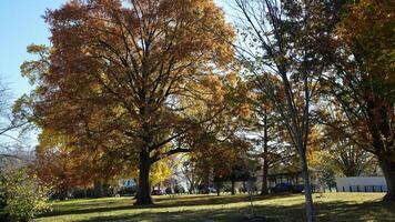 The beautiful Wshington DC city view in autumn photo