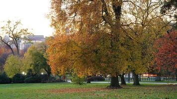 The beautiful Wshington DC city view in autumn photo