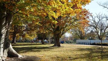 The beautiful Wshington DC city view in autumn photo