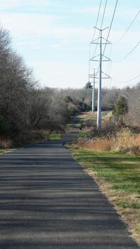 The forest view with a road cross them and several exercise people on the road photo