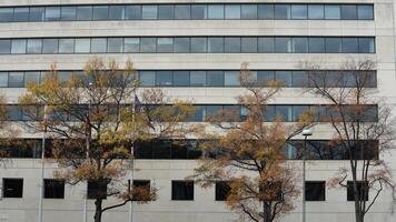 The beautiful Wshington DC city view in autumn photo