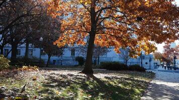 The beautiful Wshington DC city view in autumn photo