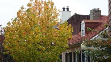 The beautiful Wshington DC city view in autumn photo