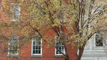 The beautiful Wshington DC city view in autumn photo