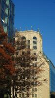 The beautiful Wshington DC city view in autumn photo