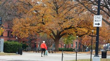 The beautiful Wshington DC city view in autumn photo