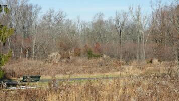 The wild forest view in the countryside of the city in winter photo