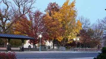 The beautiful Wshington DC city view in autumn photo