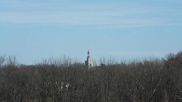 The wild forest view in the countryside of the city in winter photo