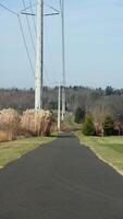 The forest view with a road cross them and several exercise people on the road photo