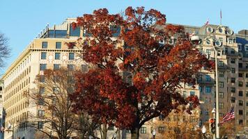 The beautiful Wshington DC city view in autumn photo