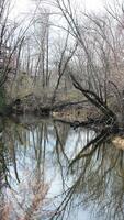 The wild forest view in the countryside of the city in winter photo