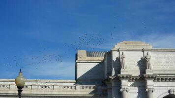 The Washington DC city view with the old architectures in autumn photo