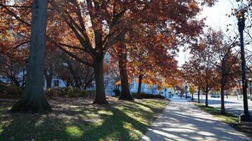 The beautiful Wshington DC city view in autumn photo