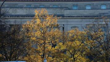 The beautiful Wshington DC city view in autumn photo