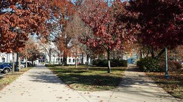 The beautiful Wshington DC city view in autumn photo