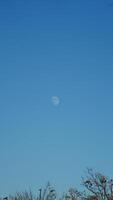 The beautiful sunset city view with the moon in the blue sky photo