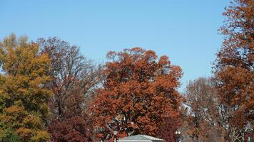 The beautiful Wshington DC city view in autumn photo