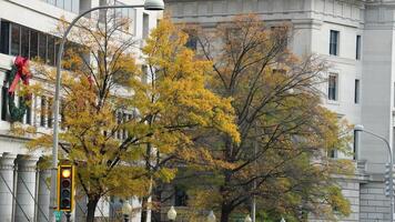 The beautiful Wshington DC city view in autumn photo