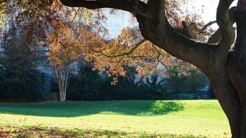 The beautiful Wshington DC city view in autumn photo