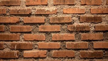 Brick Wall Texture photo