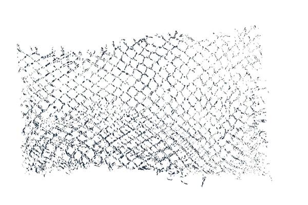 Mesh fossil stone print Black carboned texture overlay. Dust grainy texture on white background. Torn old paper grain noise Grunge design elements Black scratches spots and stains. illustration