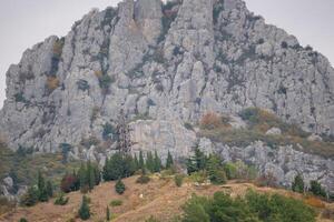 Mountain Cliff Trees Landscape - A large grey cliff face with trees and grass in the foreground. photo