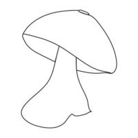 Contour drawing of mushrooms on a white background. Mushroom one line continuous drawing. vector