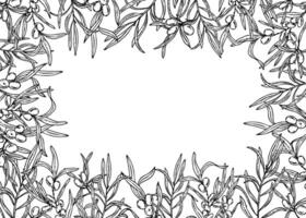 Sea buckthorn wreath hand drawn isolated illustration painted by black inks. Juicy autumn berries on branch with leaves round frame. Empty space for text. For birthday cards, greetings vector