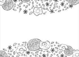 Monochrome dried fruits with winter spices horizontal border painted by black inks. Cinnamon sticks, dried orange and apple slices, cardamom, anise and cloves border with copy space for text. vector