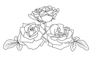Floral composition. Three wide opened roses with leaves. Horizontal botanical illustration. Black contour isolated on a white background. Suitable for coloring book pages, print, digital or web design vector