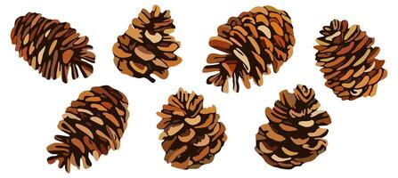 Fir cones. set isolated on white background vector